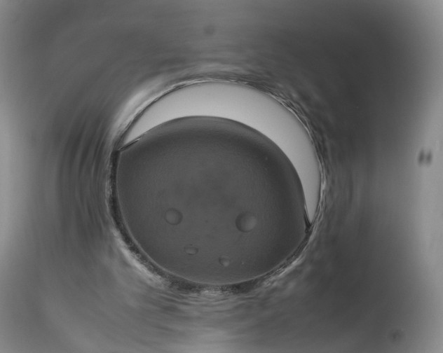 X0000113240101200909241556