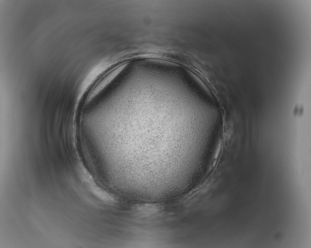 X0000113240102200909241556