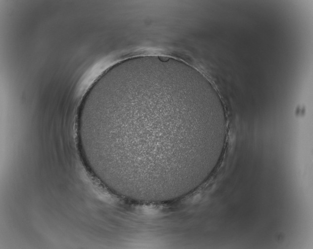 X0000113240103200909241556