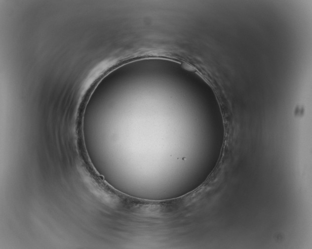 X0000113240104200909241556