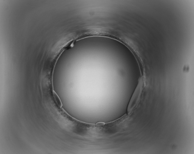 X0000113240105200909241556