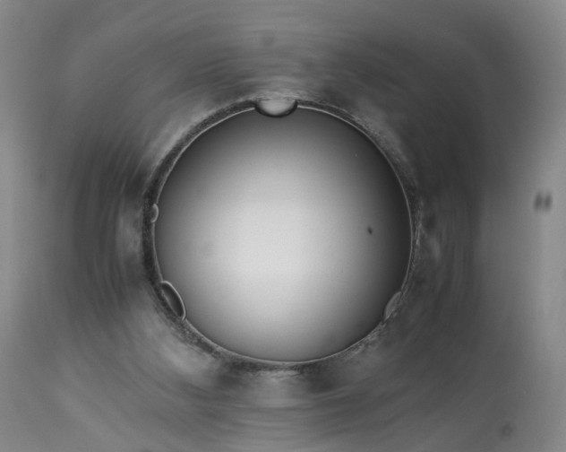 X0000113240108200909241556