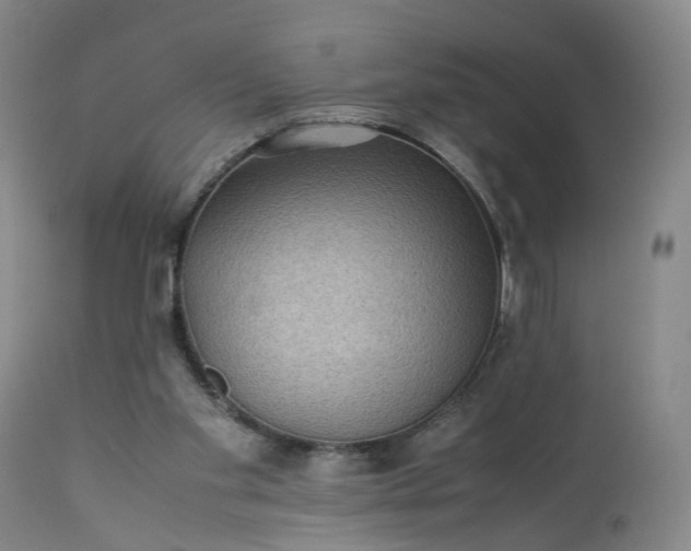 X0000113240109200909241556