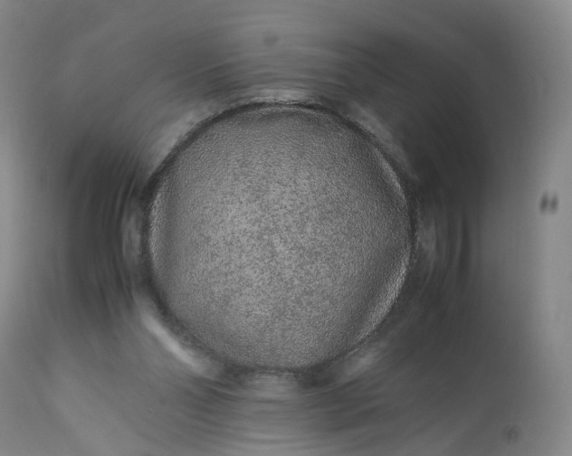 X0000113240110200909241556