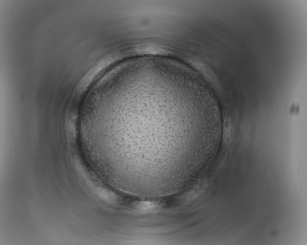 X0000113240111200909241556