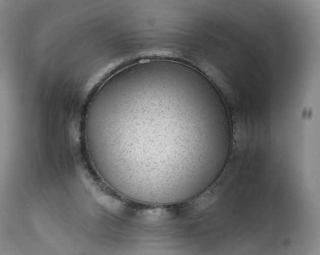 X0000113240112200909241556