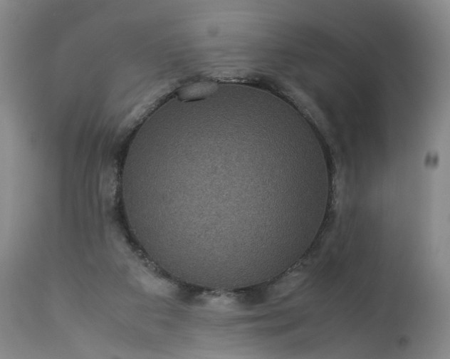 X0000113240113200909241556