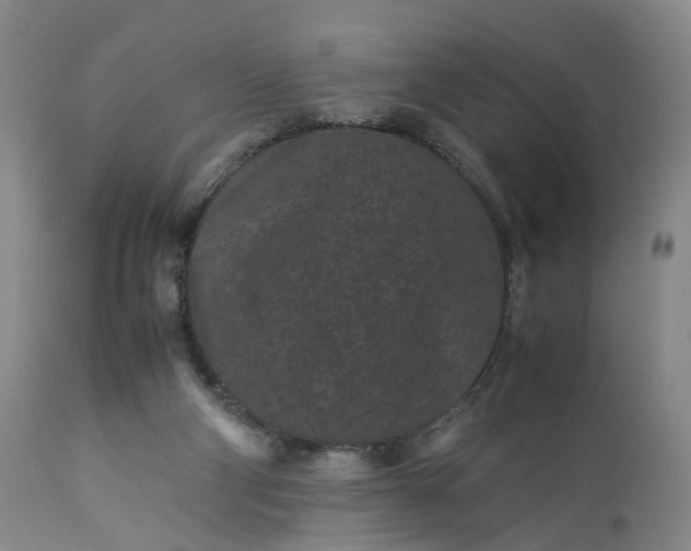 X0000113240114200909241556