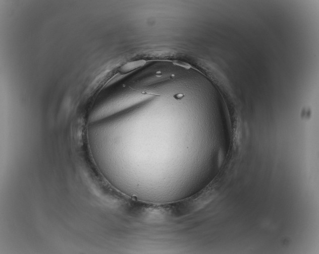 X0000113240115200909241555