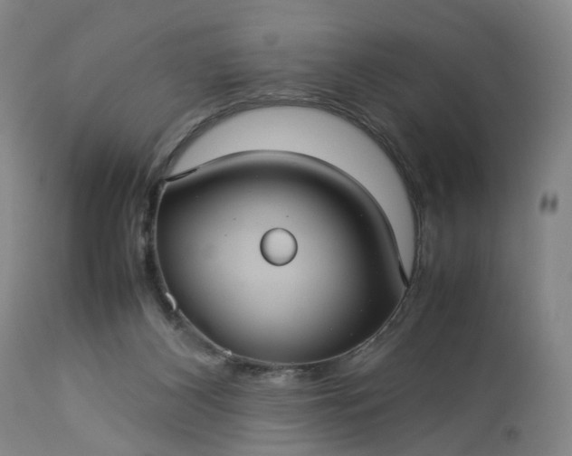 X0000113240116200909241555