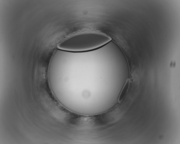 X0000113240117200909241555