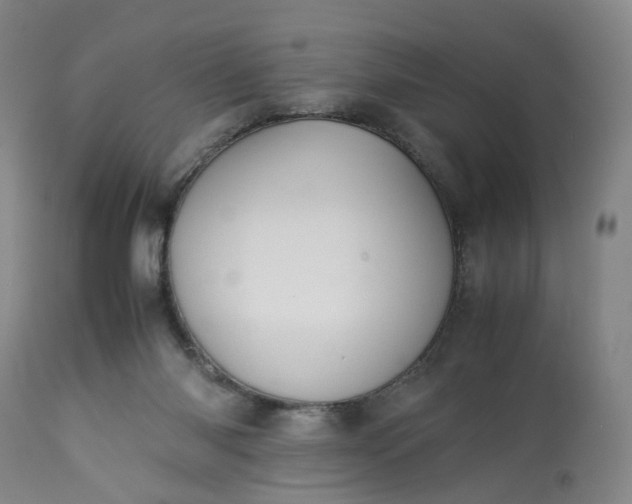 X0000113240118200909241555