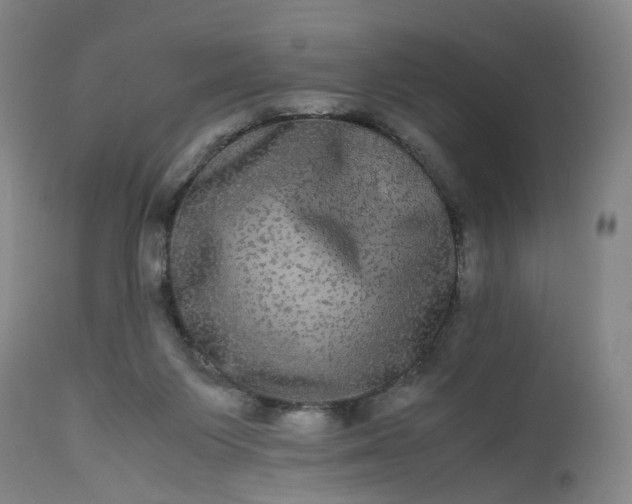 X0000113240119200909241555