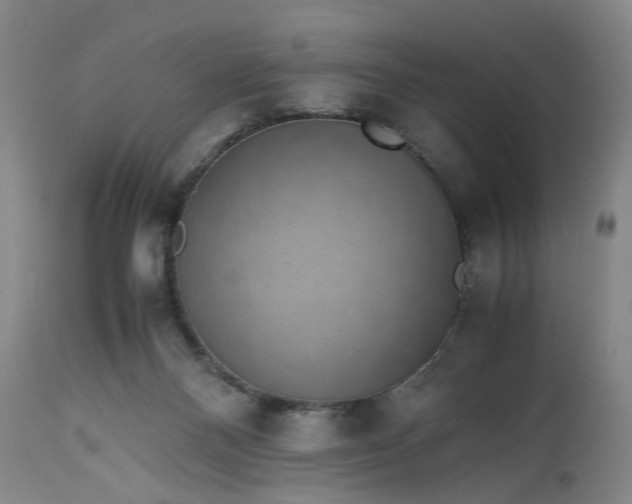 X0000113240120200909241555