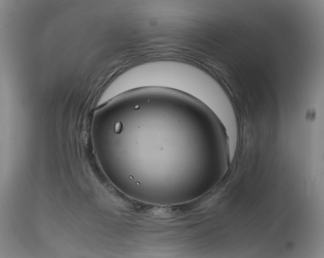 X0000113240121200909241555