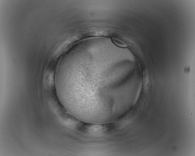 X0000113240123200909241555