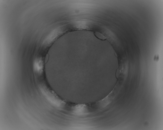 X0000113240124200909241555