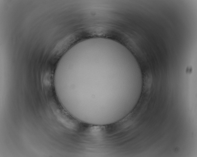 X0000113240126200909241555