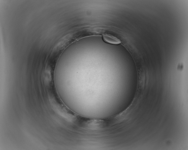 X0000113240128200909241555