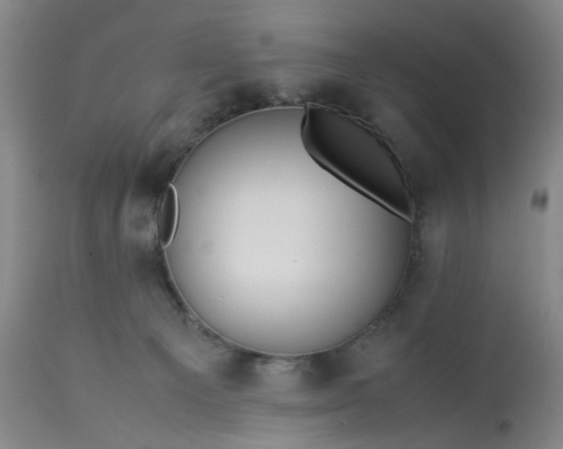 X0000113240129200909241555