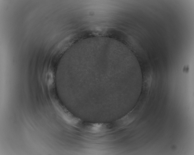 X0000113240130200909241555