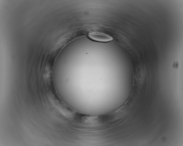 X0000113240132200909241555