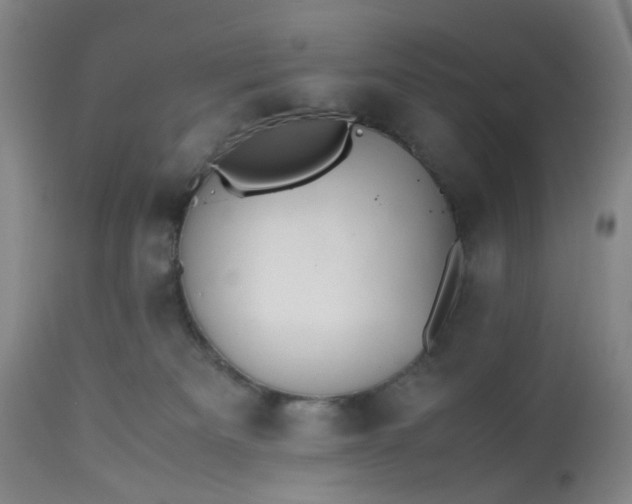 X0000113240133200909241555