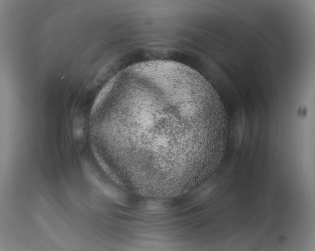 X0000113240134200909241555