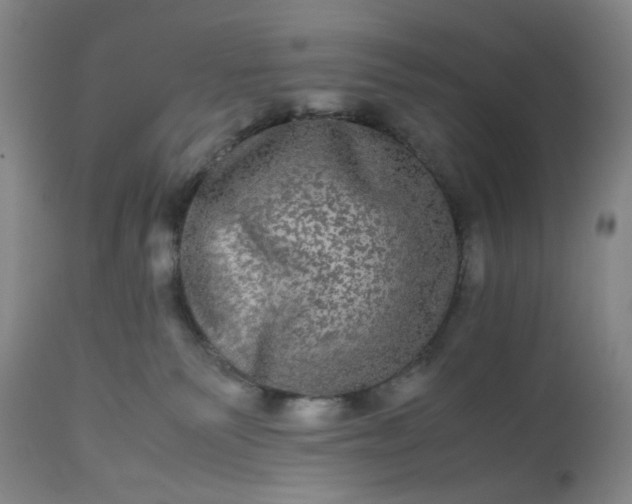 X0000113240135200909241555