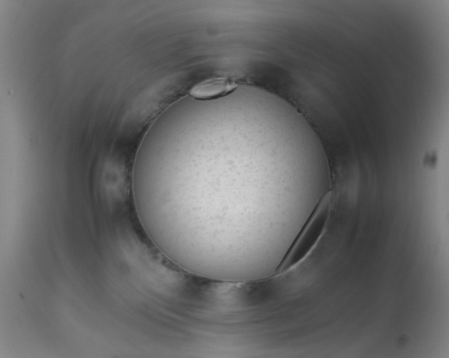 X0000113240136200909241555