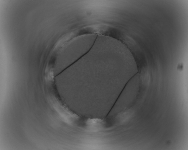 X0000113240137200909241555