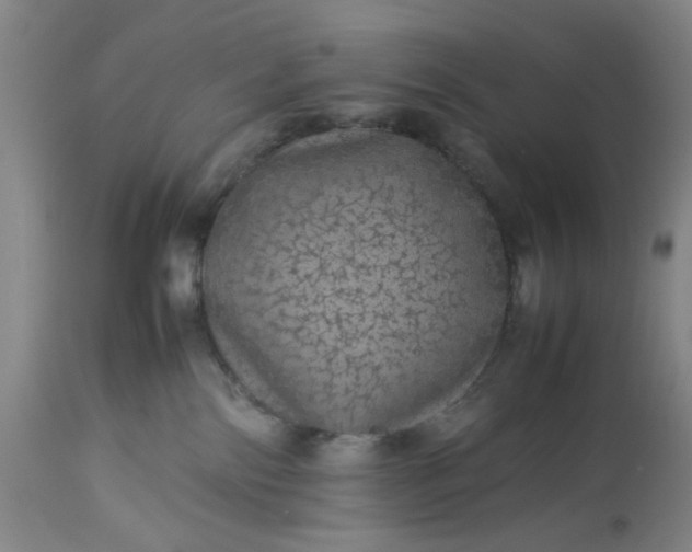 X0000113240138200909241555