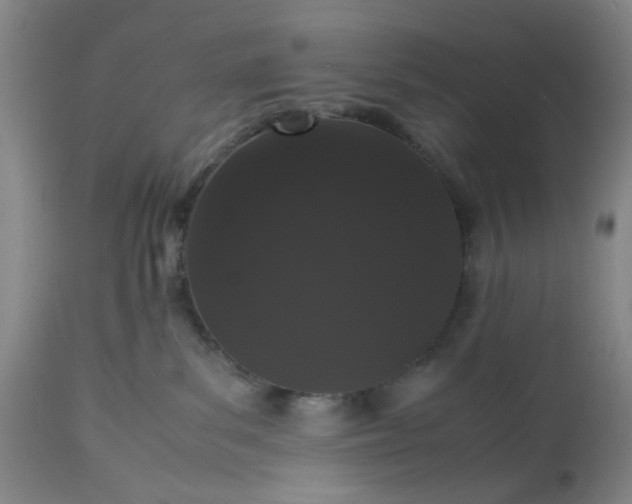 X0000113240139200909241555