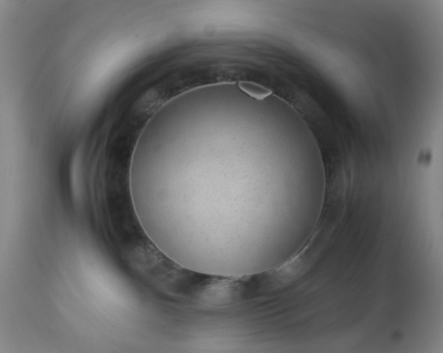 X0000113240140200909241555