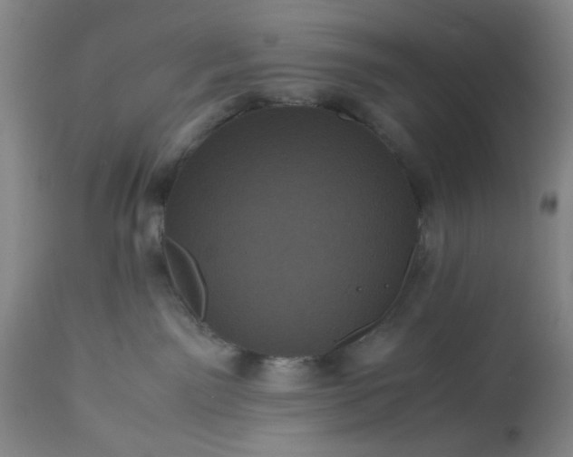 X0000113240141200909241555