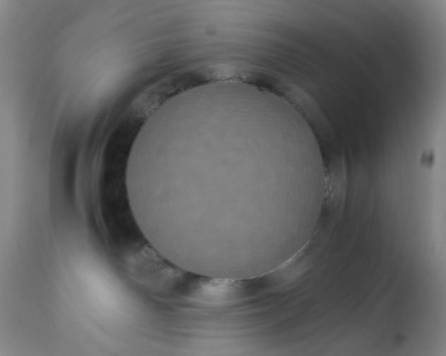 X0000113240142200909241555