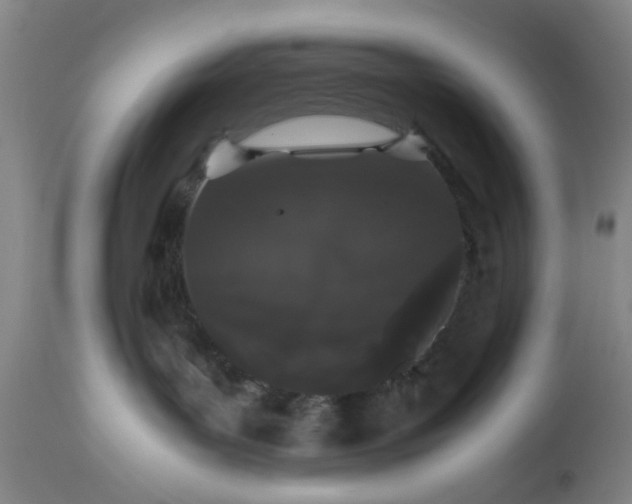 X0000113240143200909241555