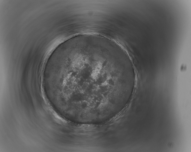 X0000113240145200909241554