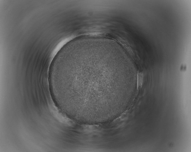 X0000113240147200909241554