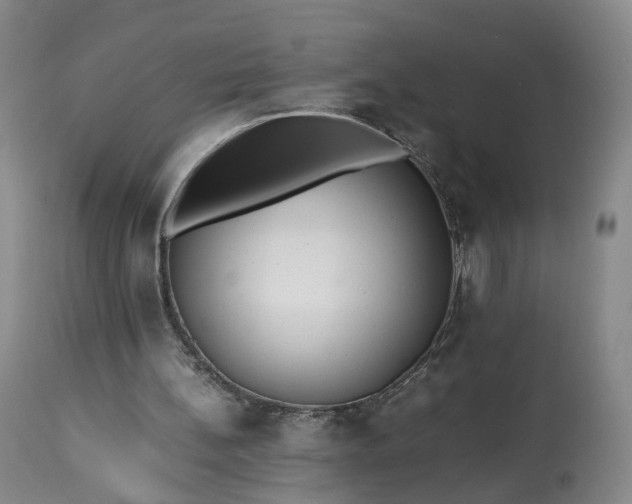 X0000113240148200909241554