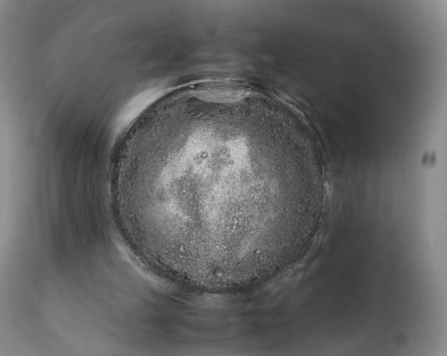 X0000113240149200909241554