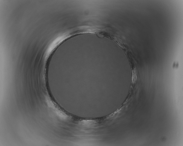 X0000113240150200909241555