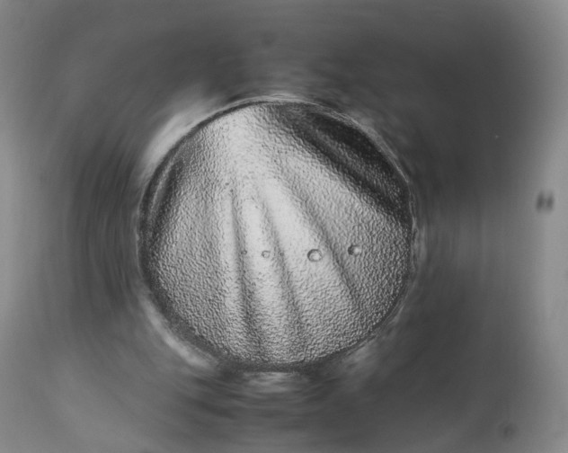 X0000113240151200909241555