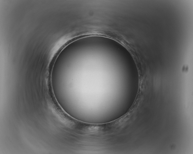 X0000113240152200909241555