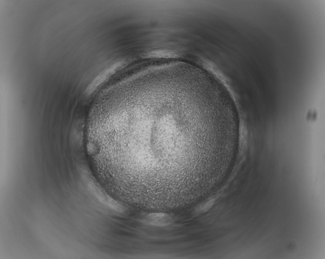 X0000113240153200909241555