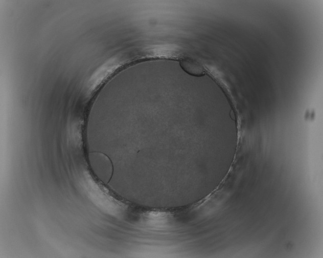 X0000113240154200909241555