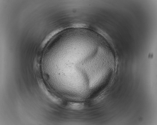 X0000113240155200909241555