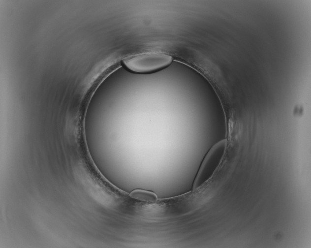 X0000113240156200909241555