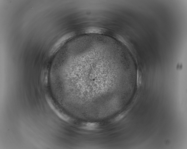 X0000113240157200909241555