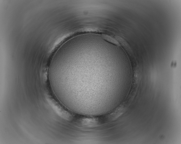 X0000113240160200909241555